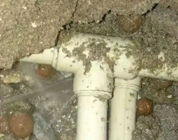 美兰测漏水多少钱