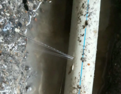 美兰测漏水哪家好