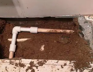 美兰测漏水哪家好