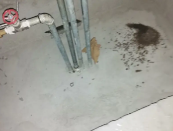 美兰卫生间测漏水价格明细